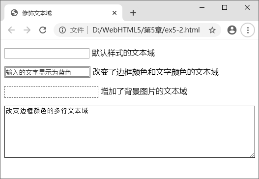 图 5-39 修饰文本域