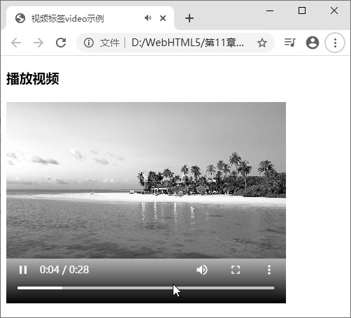 图 11-11 播放视频效果